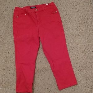 bandolino capri pants